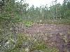 2003_0720_142128AA.jpg